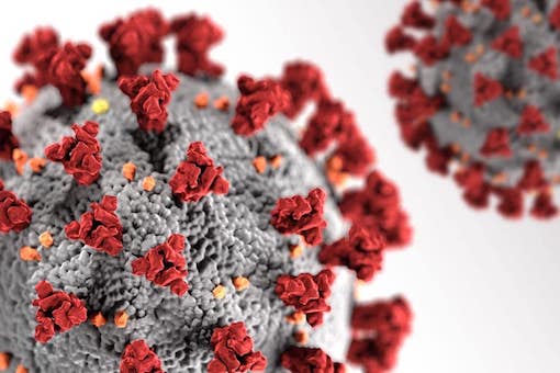 coronavirus_covid_19 coronavirus_covid_19